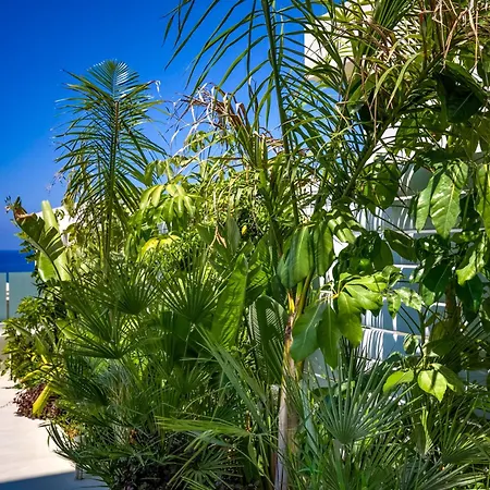 Olymp White Palace - The Ultra Luxury Beachfront House Kissonerga